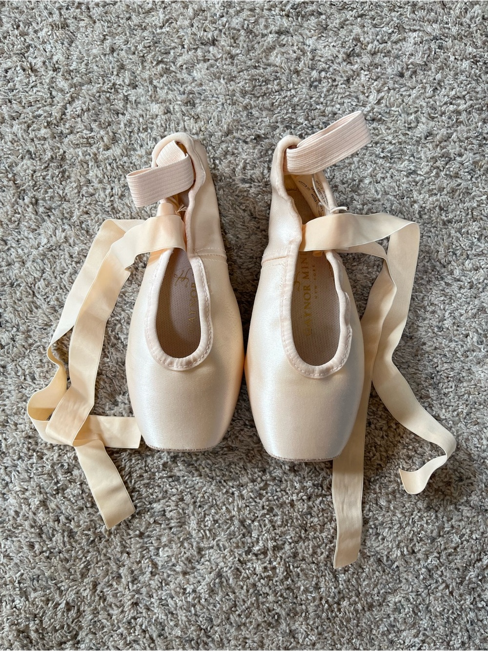 Gaynor Minden Pointe Shoes (Specs In Description)